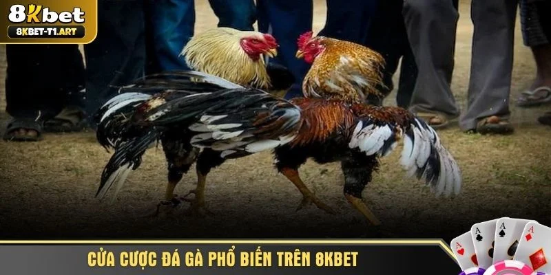 Cửa cược đá gà phổ biến trên 8KBET
